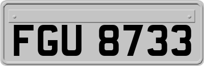 FGU8733