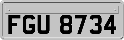 FGU8734