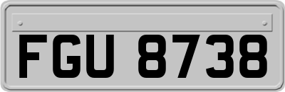 FGU8738