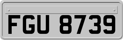 FGU8739
