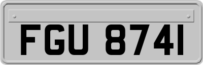 FGU8741