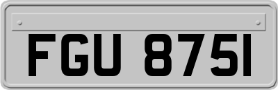 FGU8751