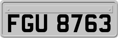 FGU8763