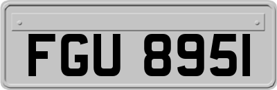 FGU8951