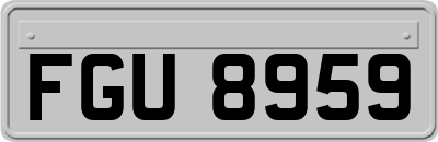 FGU8959