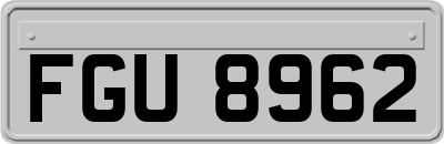 FGU8962