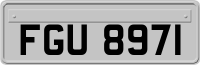 FGU8971