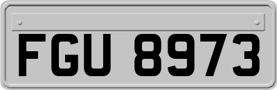 FGU8973