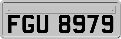 FGU8979