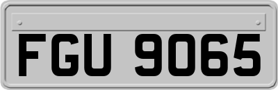 FGU9065