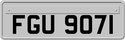 FGU9071