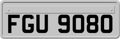 FGU9080