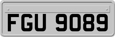 FGU9089
