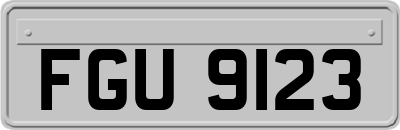 FGU9123