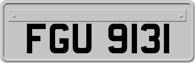 FGU9131