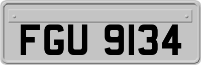 FGU9134