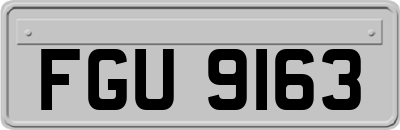 FGU9163
