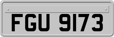 FGU9173