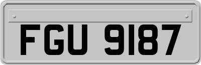 FGU9187