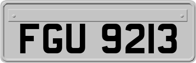 FGU9213