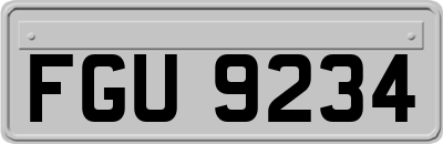 FGU9234
