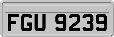FGU9239
