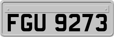 FGU9273