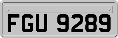 FGU9289