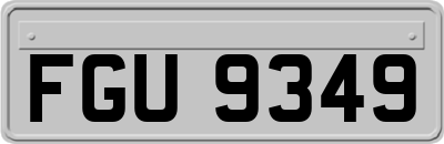 FGU9349