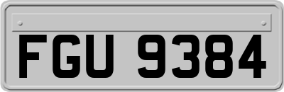 FGU9384