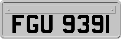 FGU9391
