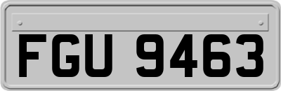 FGU9463
