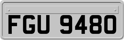 FGU9480