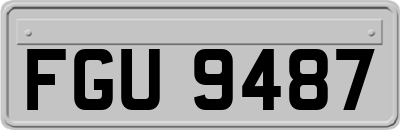FGU9487