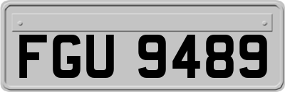 FGU9489