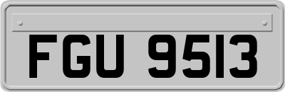 FGU9513