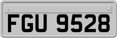 FGU9528