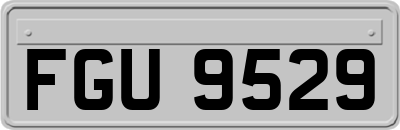 FGU9529