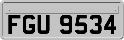 FGU9534