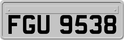 FGU9538