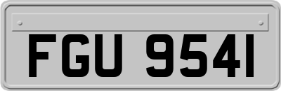 FGU9541