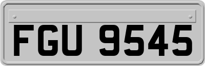 FGU9545