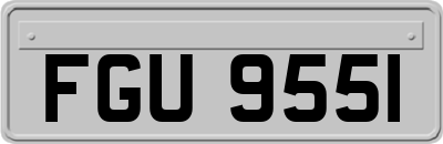 FGU9551