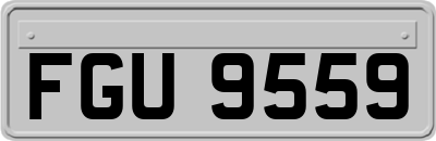 FGU9559
