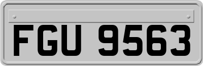 FGU9563