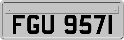 FGU9571