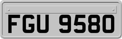 FGU9580