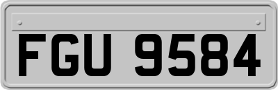 FGU9584