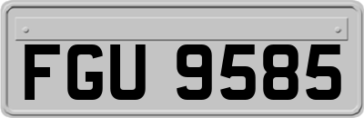FGU9585