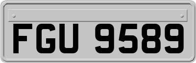 FGU9589